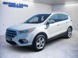 Ford Kuga Cool & Connect Navi Winter/Design/Sichtp.. - Ford: Connect