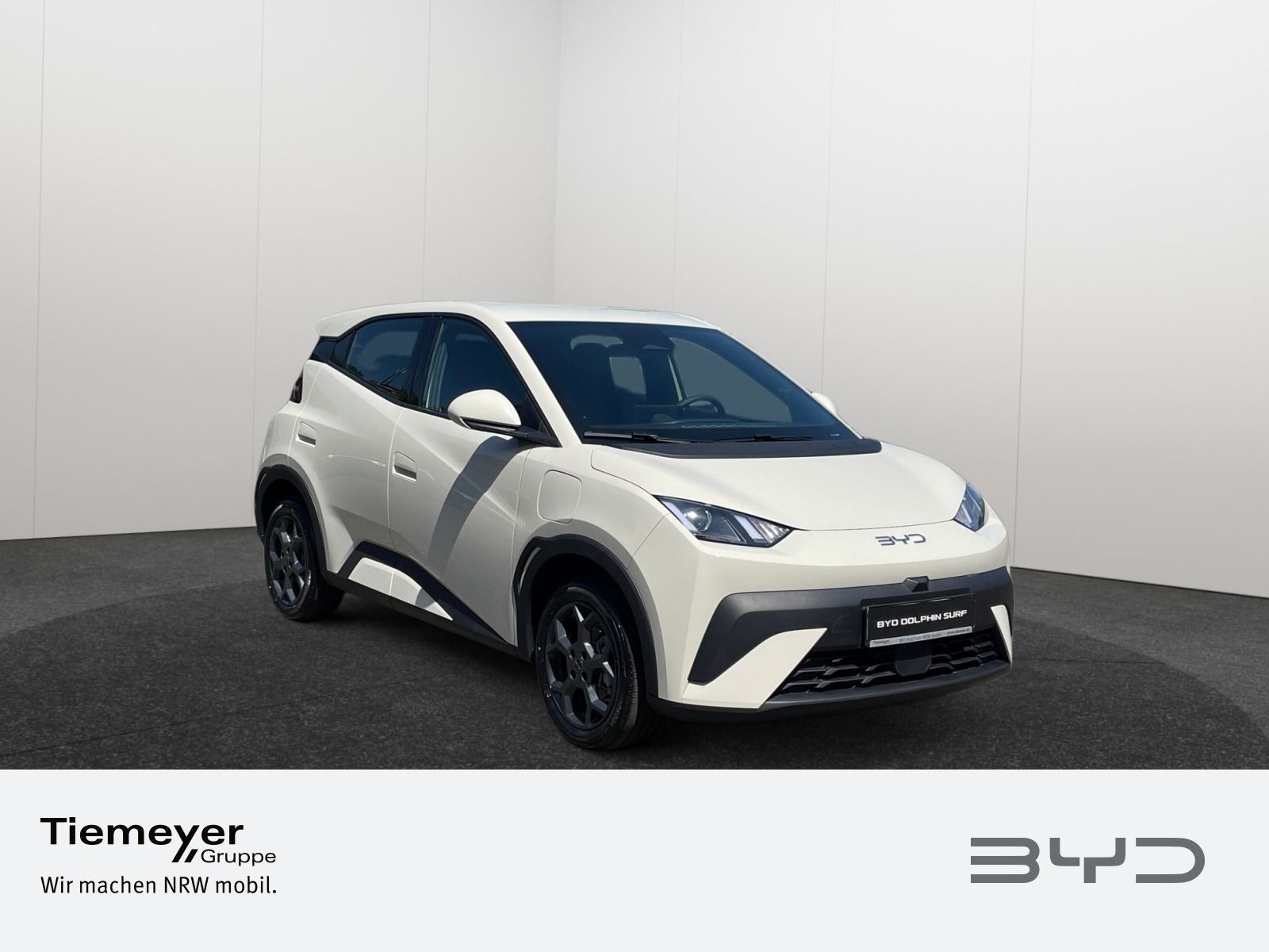 BYD DOLPHIN SURF