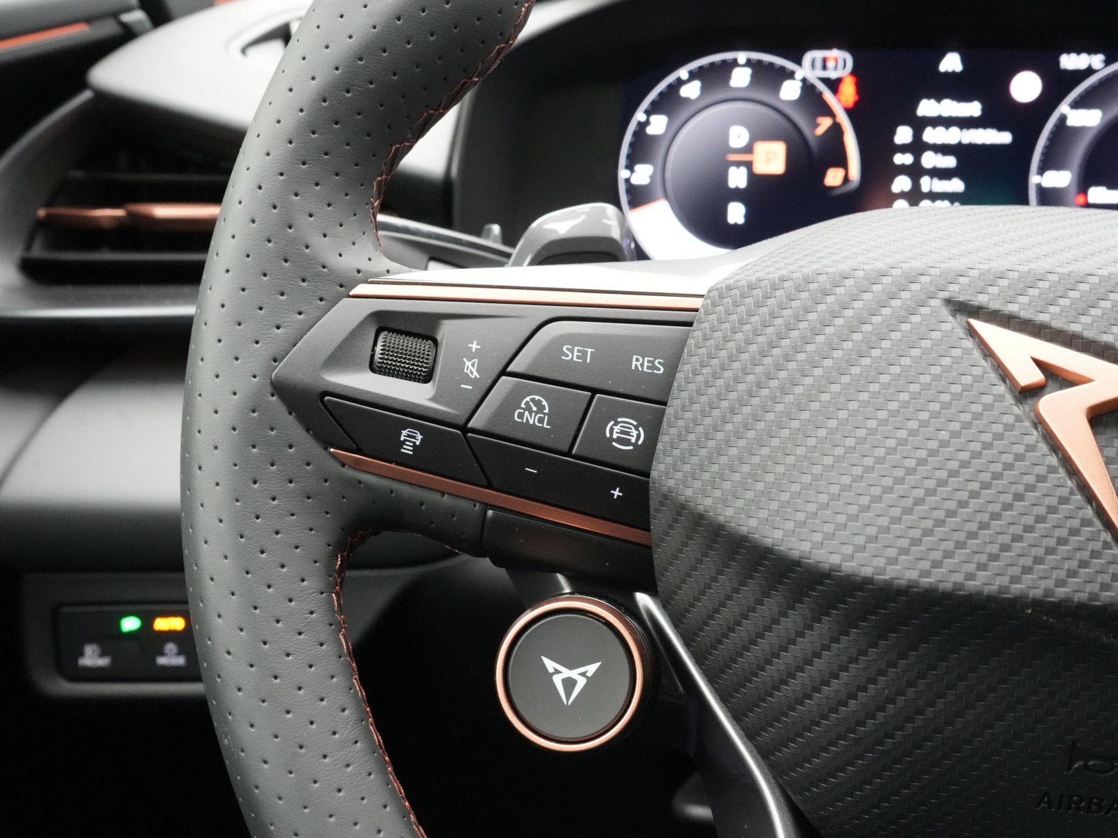Cupra Terramar - Bild 19