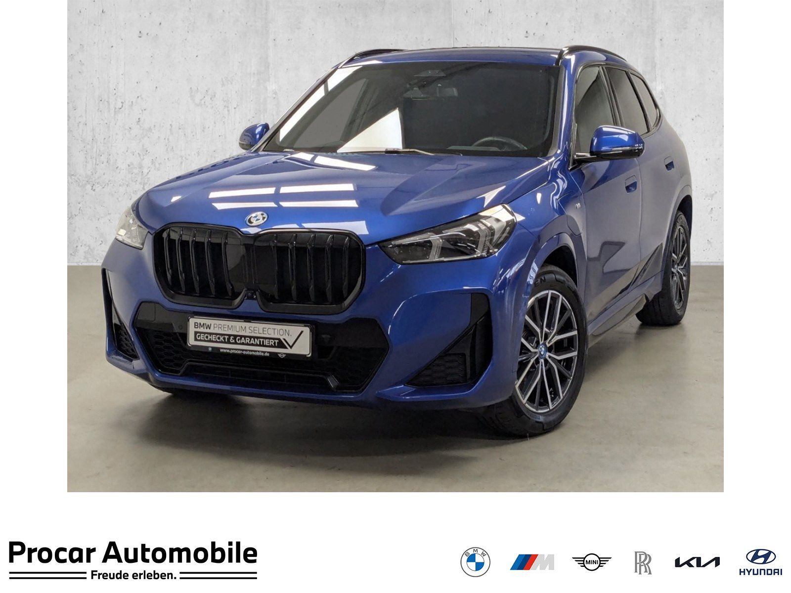 BMW X1 xDrive30e M Sport DA PA HUD HiFi LED SHZ 18