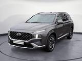 Hyundai SANTA FE Plug-in-Hybrid Head-Up Kamera Totwinkel - Hyundai SANTA FE: I