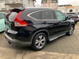 Honda CR-V 2.2 Executive 4WD Automatik Panoramadach - Honda CR-V in Oberhausen