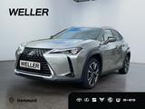 Lexus UX 250h Style Edition *LED*CarPlay*Kamera*SHZ* - Lexus aus 2022