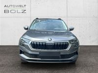 Skoda Karoq - Vorschau Bild 2