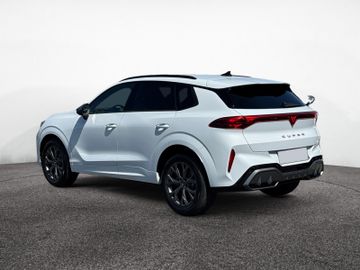 Cupra Terramar - 5