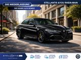 Alfa Romeo Giulia Quadrifoglio ORO Akrapovic Abgasanl. - Alfa Romeo Giulia Akrapovic Gebrauchtwagen