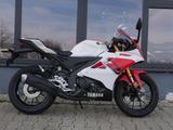 Yamaha YZF-R 125 - Mod. 2026 - blau + 70th auf Lager - YAMAHA NEU YZF R 125