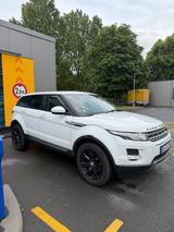 Rover Range Rover Evoque - gebrauchte Rover SUV & Geländewagen