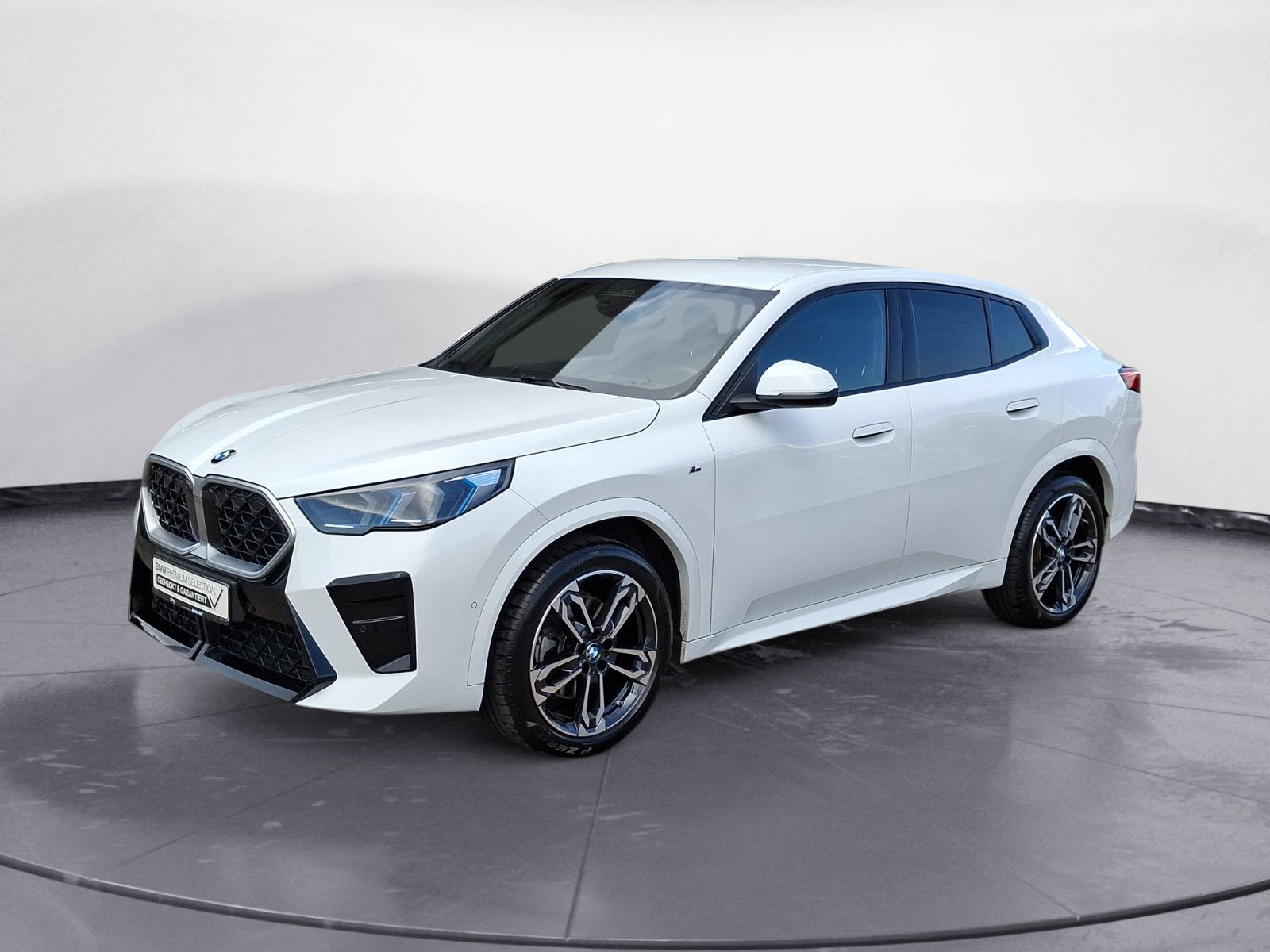 BMW X2 sDrive20i Steptronic M SPORT AHK Iconic Glow foto 2
