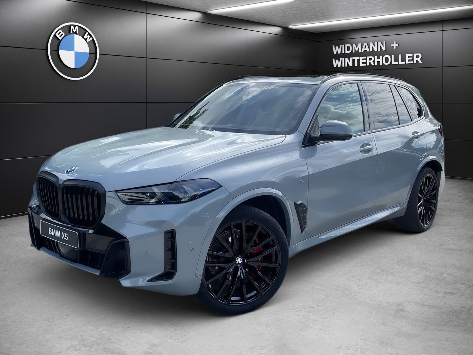 BMW X5 xDrive30d M-Sport Matrix 360° ACC AHK Pano H/