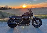 Harley-Davidson / Sportster -- Forty Eight, XL 1200X - HARLEY-DAVIDSON SPORTSTER