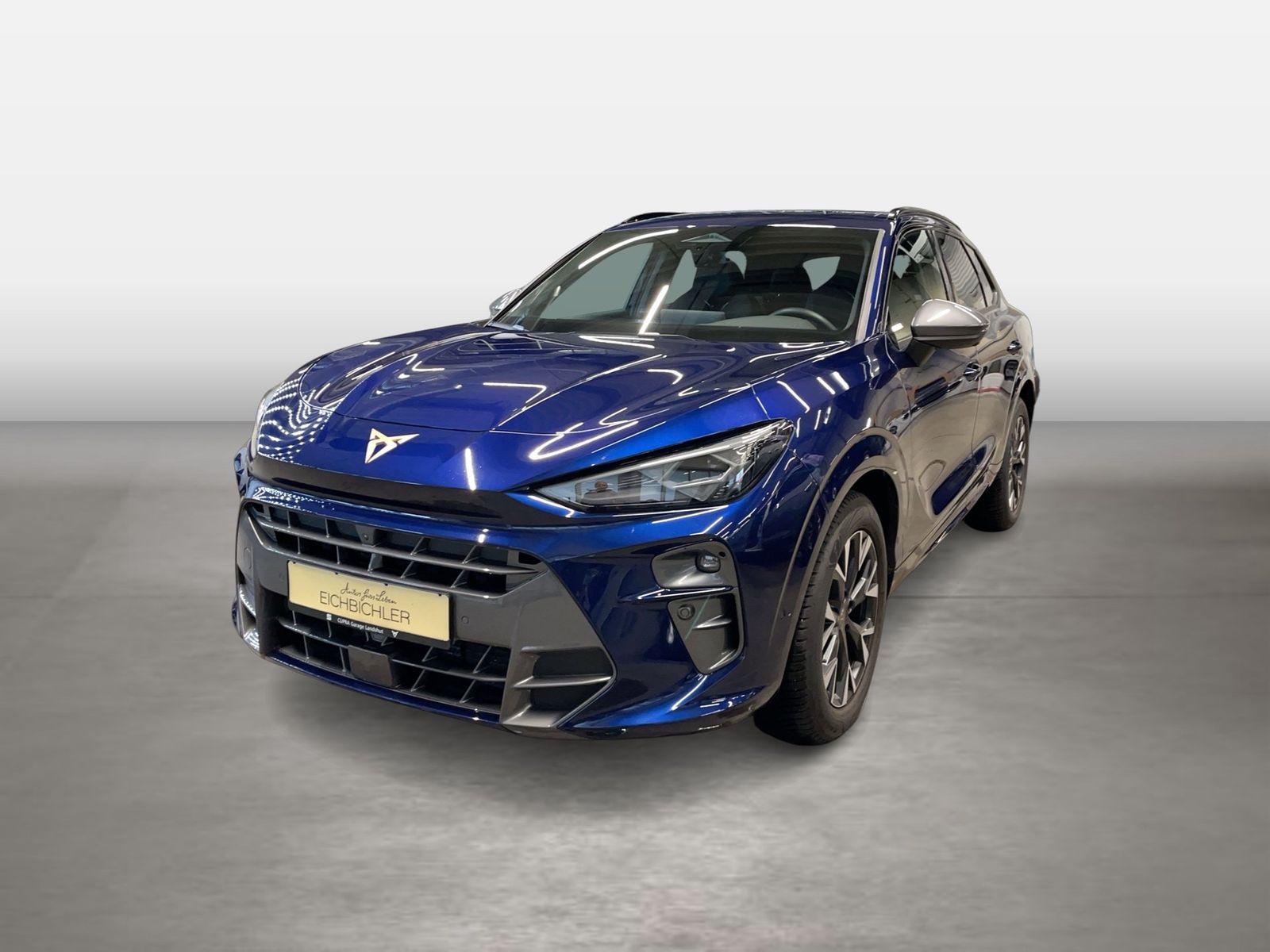 Cupra Terramar - Bild 2