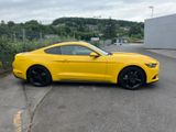 Ford Mustang 2.3 EcoBoost 50 Years Edition - Ford Mustang Gebrauchtwagen in Wuppertal