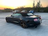 Ford Mustang GT Cabrio V8-Neuwertig-20Zoll-FOX-Deutsc - Ford Mustang Gebrauchtwagen in Wuppertal