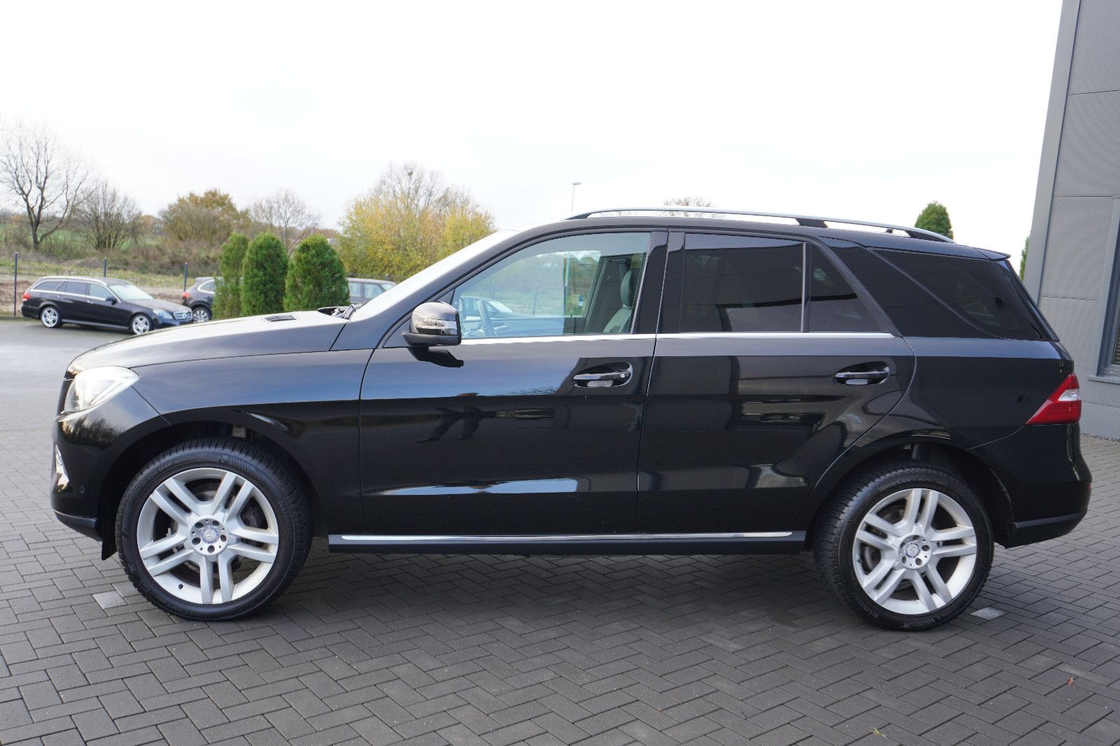 Fahrzeugabbildung Mercedes-Benz ML 250 CDI BlueTec