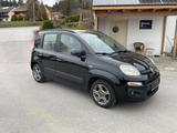 Fiat Panda Lounge-Deutsch-Zahnr.neu-ohne Mängel - Fiat Panda: Schwarz