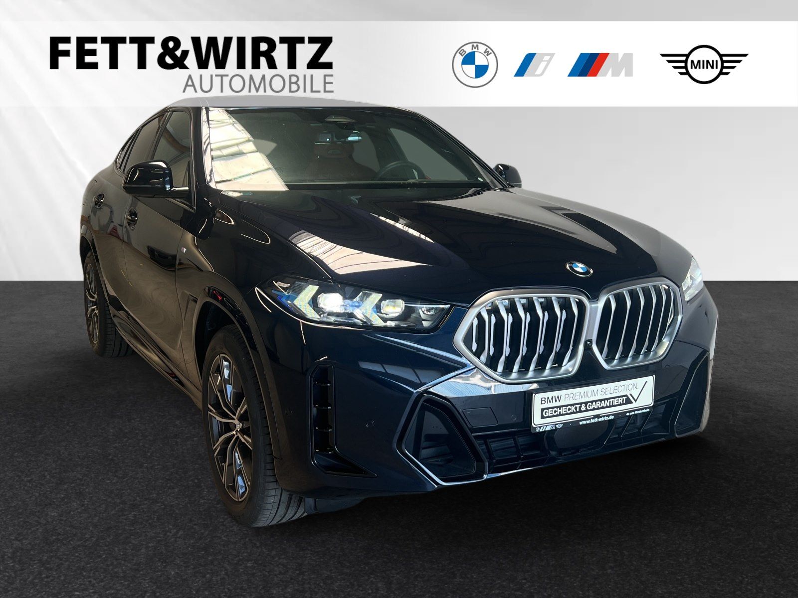 BMW X6 xDrive30d LR 722,- br. o.Anz. 48Mon/10`Km p.A