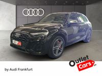 Audi SQ5 - Vorschau Bild 1