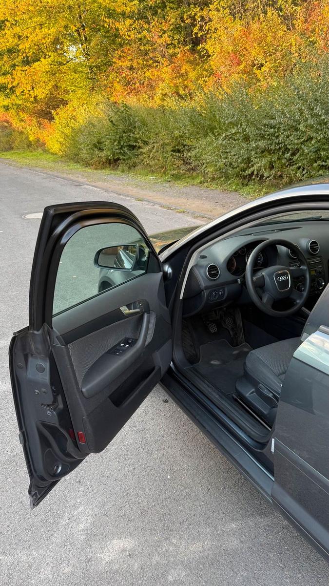 Audi A3 2008 — photo 10