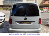 Volkswagen Caddy Nfz Maxi Kombi EcoProfi BMT - Volkswagen Caddy: Eco