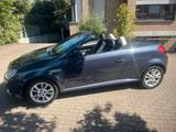 Opel Tigra 1.8 Benziner sehr sauber gepfle... - Opel Tigra: B