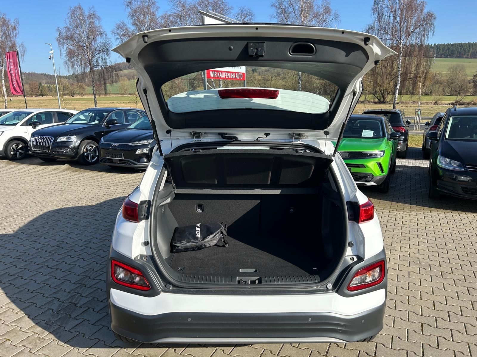 Fahrzeugabbildung Hyundai Kona Business Elektro°64 kWh°LED°Kamera°