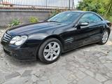 Mercedes-Benz Mercedes-benz SL 500 cat - Mercedes-Benz SL 500 aus 2005
