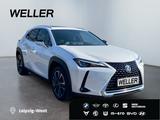 Lexus UX 250h Executive Line *HUD*Leder*GSD*el. Sitze* - Lexus Gebrauchtwagen von 2022