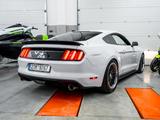 Ford Mustang 3.7  automat - Ford: Firmenfahrzeug