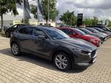 Mazda CX-30 G 150 Selection Premium Matrix-LED Bose 36 - Mazda Gebrauchtwagen in Erfurt