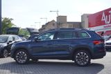 Skoda Kodiaq 1.5 TSI DSG Drive 125 LED Navi Panorama - Skoda Kodiaq in Dresden