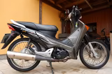 Honda Innova ANF125 Spardose  - HONDA ANF 125 INNOVA