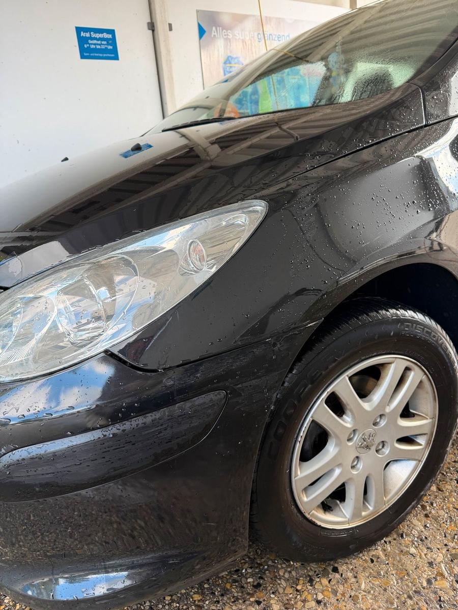 Peugeot 307 2006 — photo 6