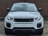 Land Rover Range Rover Evoque SE*BlackPack-Pano - Land Rover Range Rover Evoque in Düsseldorf