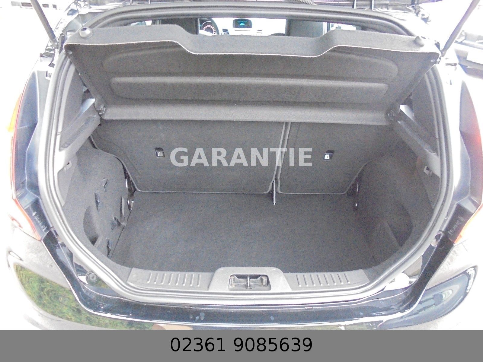 Fahrzeugabbildung Ford Fiesta ST Mega Optik