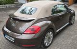 Volkswagen Beetle Cabrio Launch Edition 70s Automatik - mit Diesel-Antrieb: Cabrio, Automatik