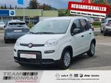 Fiat Pandina 1.0 - City Paket-sofort verfügbar - Fiat New Panda aus 2024