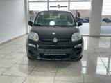 Fiat Panda 1.2 8V Klima eFH Tagfahrlicht ZV ESP ABS S - Fiat Panda in Köln