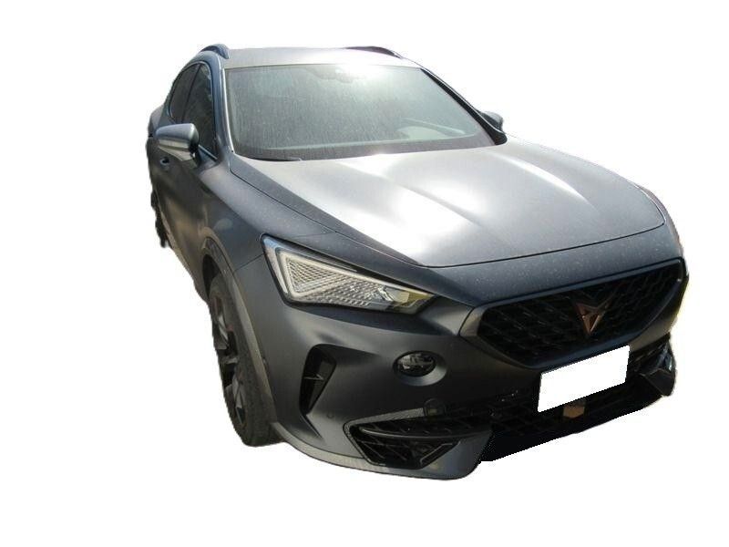 Cupra Formentor 2.0 TSI 4Drive DSG imagem 2