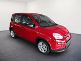 Fiat Panda 1.0 GSE /RADIO/KLIMA/PDC H/DAB - Fiat Panda aus 2024