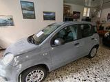 Fiat Panda 1.2 Easy easypower Gpl 69cv my19 - Fiat Panda Cabrio Gebrauchtwagen