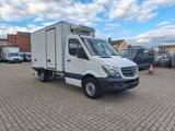 Mercedes-Benz Sprinter 313*Tiefkühlkoffer*Thermoking V300max - Mercedes-Benz The