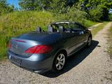 Peugeot 307 CC Cabrio-Coupe Sport - Peugeot 307: Leder