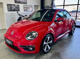 Volkswagen Beetle 1.4 TSI DSG R-Line Sport+Bi-Xenon+18" Alu - Volkswagen Beetle: Rot