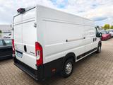 Citroën Jumper Grossraumkasten 35 L4H2 Control Heavy Blu - Citroën Jumper: L4h2
