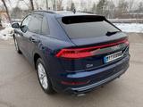 Audi Q8 55 TFSI quattro tiptronic S line Pano/HuD/B&O - blaue Audi Q8