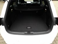 Ford Focus - Vorschau Bild 12