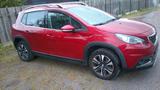Peugeot 2008 Allure - Peugeot in Braunschweig