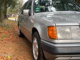Mercedes-Benz 300 TE, W124, extrem seltene Ausstattung - Mercedes-Benz 300: W124 300e