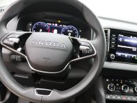 Skoda Karoq - Vorschau Bild 14